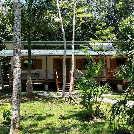 Casa Del Congo Villa Cahuita Eksteriør bilde